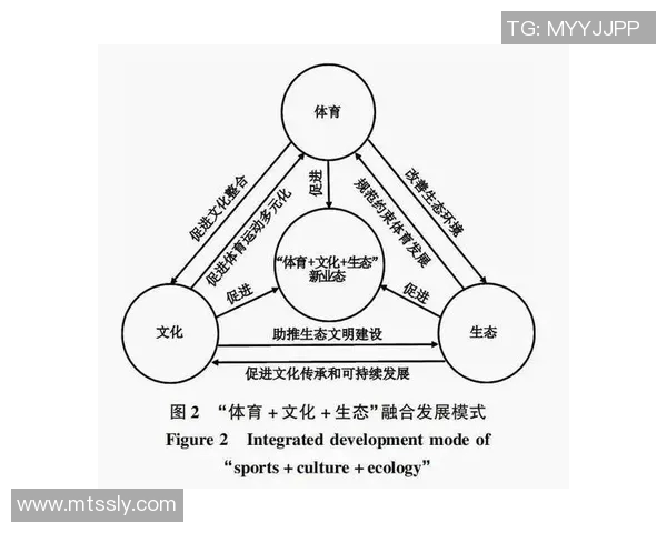 体育场作为城市文化与娱乐中心的多功能发展探讨与未来展望