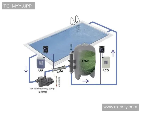 如何高效进行泳池维护工作，延长池水清洁与设备使用寿命的方法与技巧