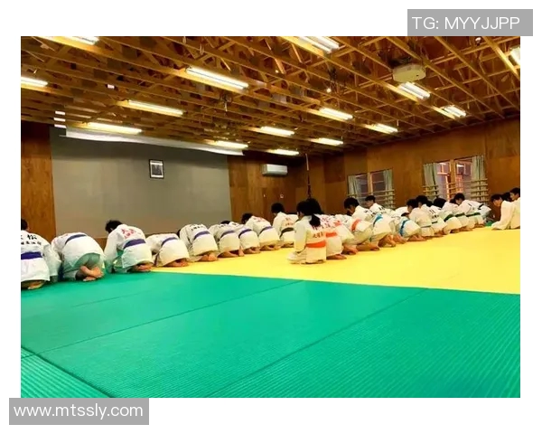 柔道技艺与精神传承探讨:从传统到现代的演变与发展