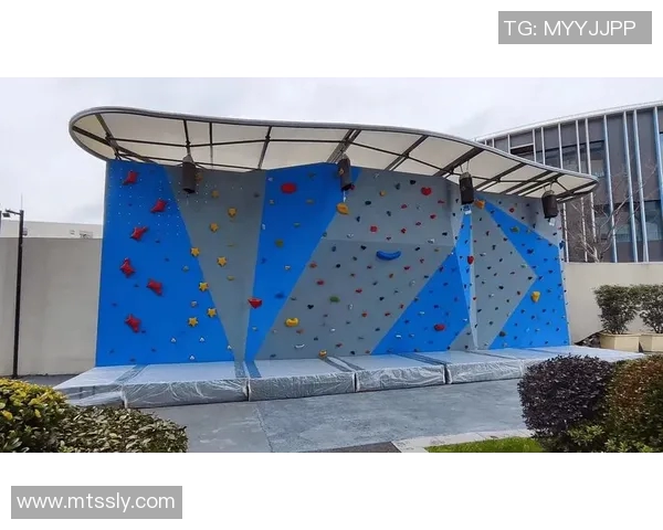 南京攀岩队灵活性分析与提升策略探讨及实践效果评估